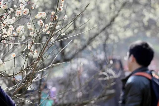 南京一日游必去景点有哪些？