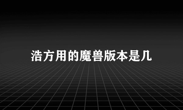 浩方用的魔兽版本是几