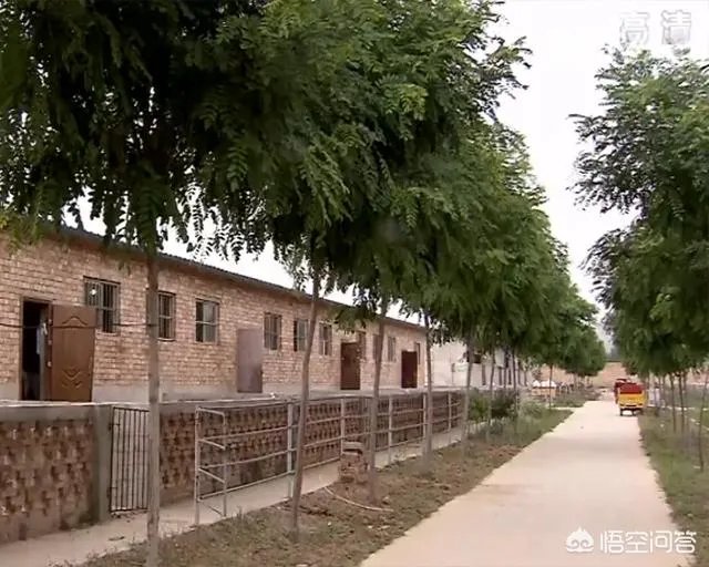 奶山羊怎样提高产量和品质？