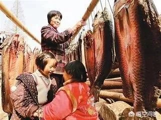 小雪节气适合吃什么？