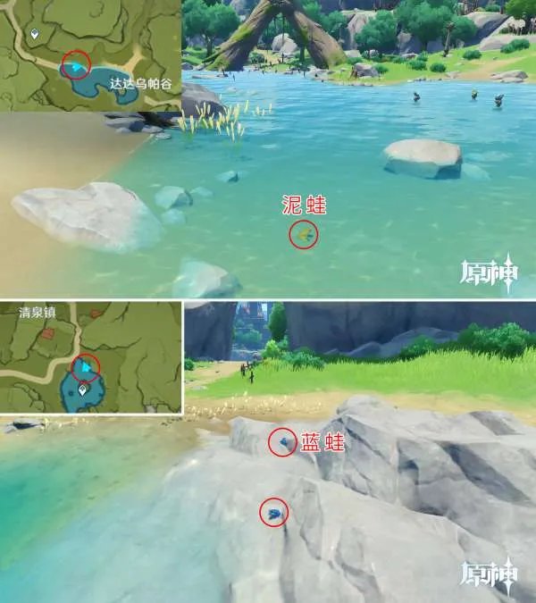 原神四方八方之网可捕捉动物在哪