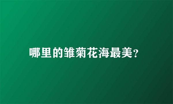 哪里的雏菊花海最美？