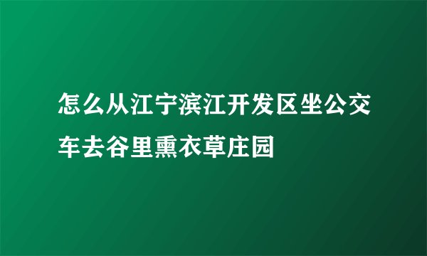 怎么从江宁滨江开发区坐公交车去谷里熏衣草庄园