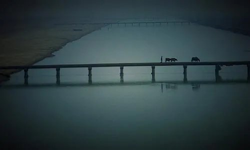 明月未出群山高，瑞光千丈生白毫。