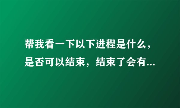 帮我看一下以下进程是什么，是否可以结束，结束了会有什么后果！