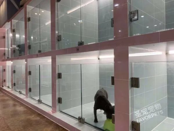 开宠物店需要什么手续和证件？