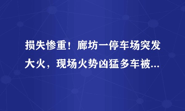 损失惨重!廊坊一停车场突发大火,现场火势凶猛多车被烧毁, 你怎么看?
