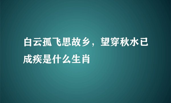 白云孤飞思故乡，望穿秋水已成疾是什么生肖