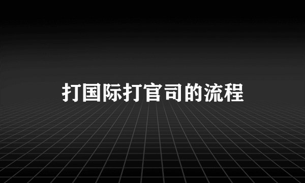 打国际打官司的流程