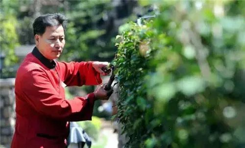 住宅小区物业管理服务包括哪些内容