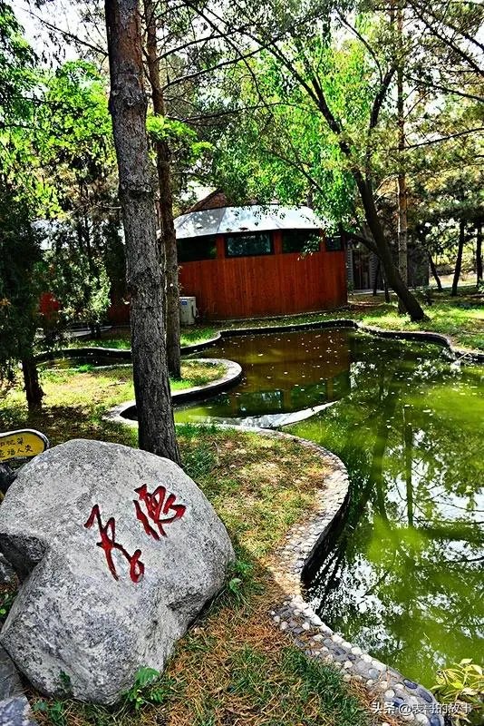 开农家乐的做什么网站好呢？