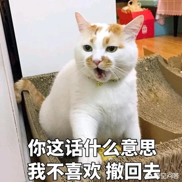 如何看待“给每个员工发一只猫，离职的话要退还猫给公司，可以起到稳定团队的作用”这句话？