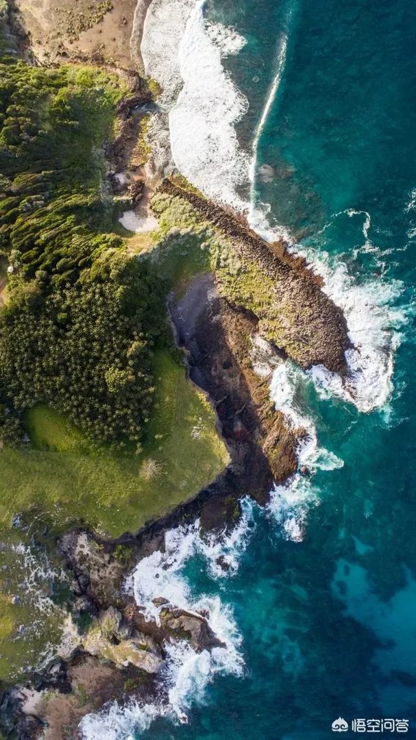 年纪一大把了想做个网红，还有机会吗？该怎么办？