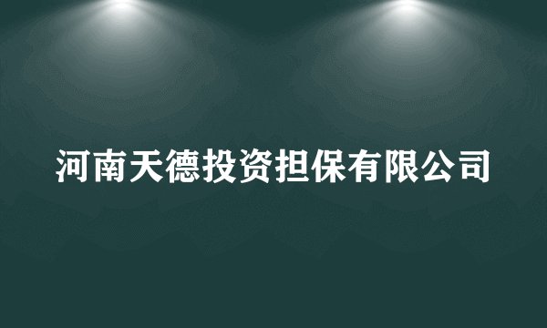 河南天德投资担保有限公司