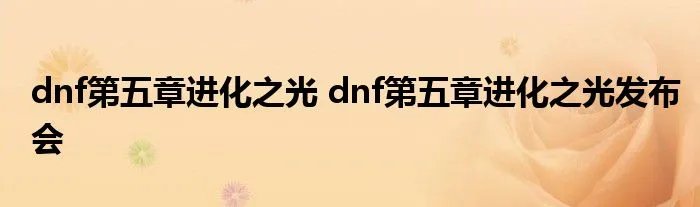 dnf第五章进化之光 dnf第五章进化之光发布会