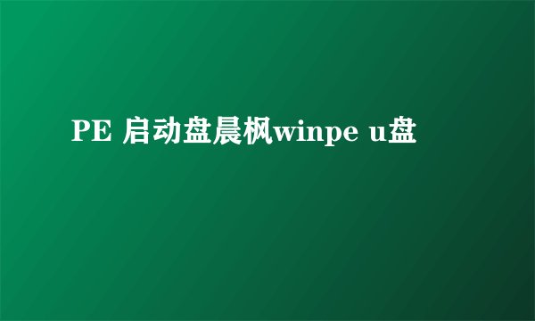 PE 启动盘晨枫winpe u盘