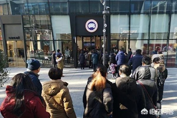 利润飙升72%,加拿大鹅即将建新工厂,其CEO直言