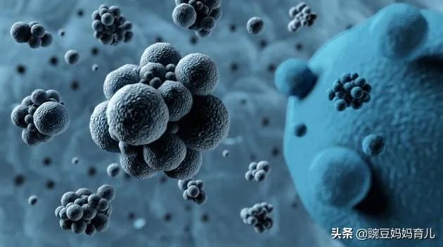 第二波疫情每个人又要感染吗