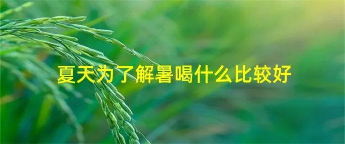 夏天为了解暑喝什么比较好