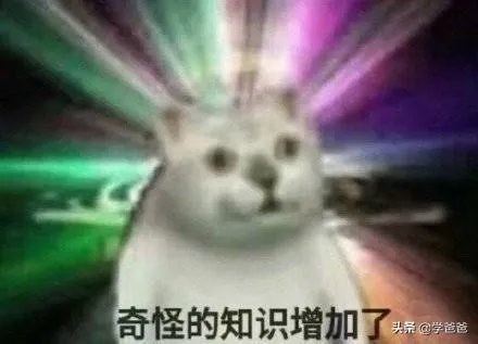 关于二级建造师大家怎么看？