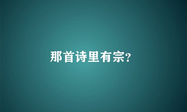 那首诗里有宗？