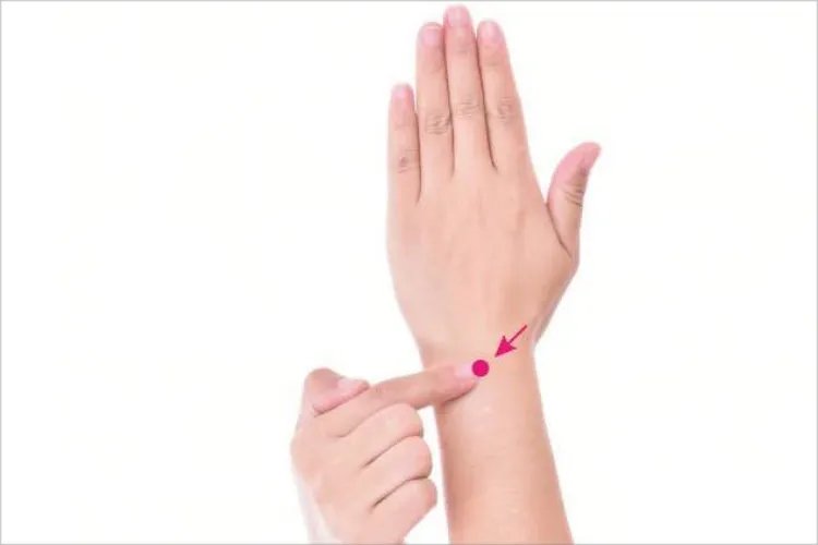 养老的准确位置图片及功效