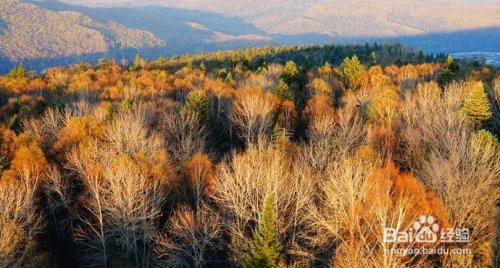 伊春旅游必去景点