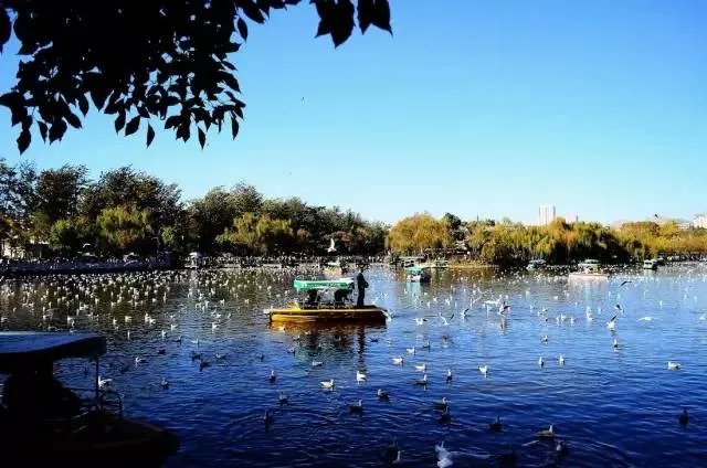 昆明在美留学生公开演讲：美国空气又香又甜！家乡空气差，昆明为自己正名！