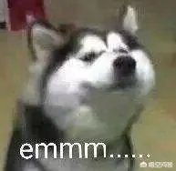 驾驶证消分新规来了,先绑定再处理,你怎么看?