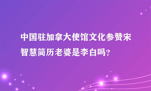 中国驻加拿大使馆文化参赞宋智慧简历老婆是李白吗？
