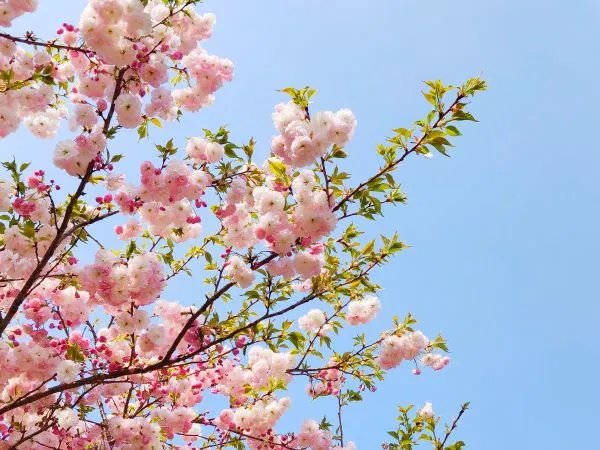 相亲几十次总是第一面就被女生拒绝，怎么办?是本人长得极丑吗？?