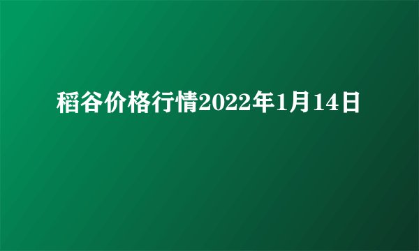 稻谷价格行情2022年1月14日