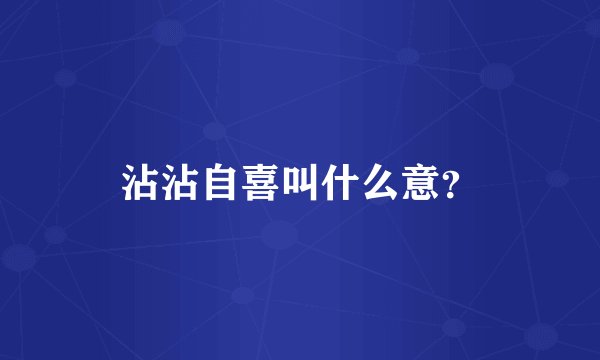 沾沾自喜叫什么意？