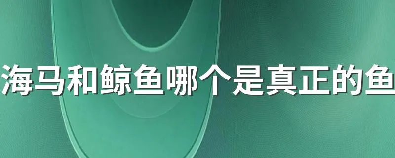 海马和鲸鱼哪个是真正的鱼 你知道吗