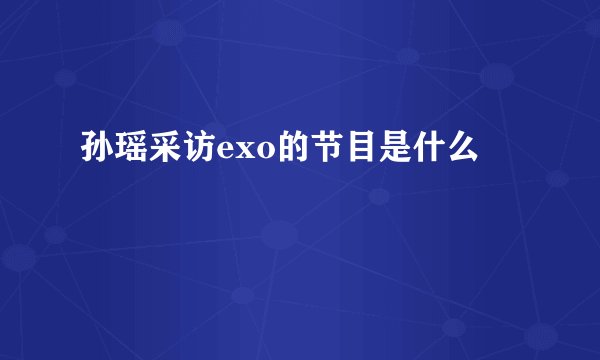 孙瑶采访exo的节目是什么