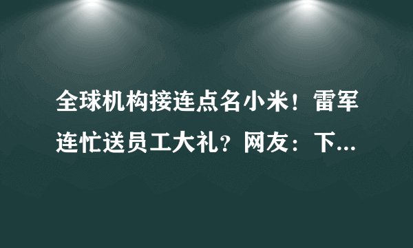 全球机构接连点名小米！雷军连忙送员工大礼？网友：下次是啥时候
