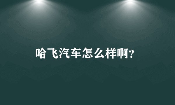 哈飞汽车怎么样啊？