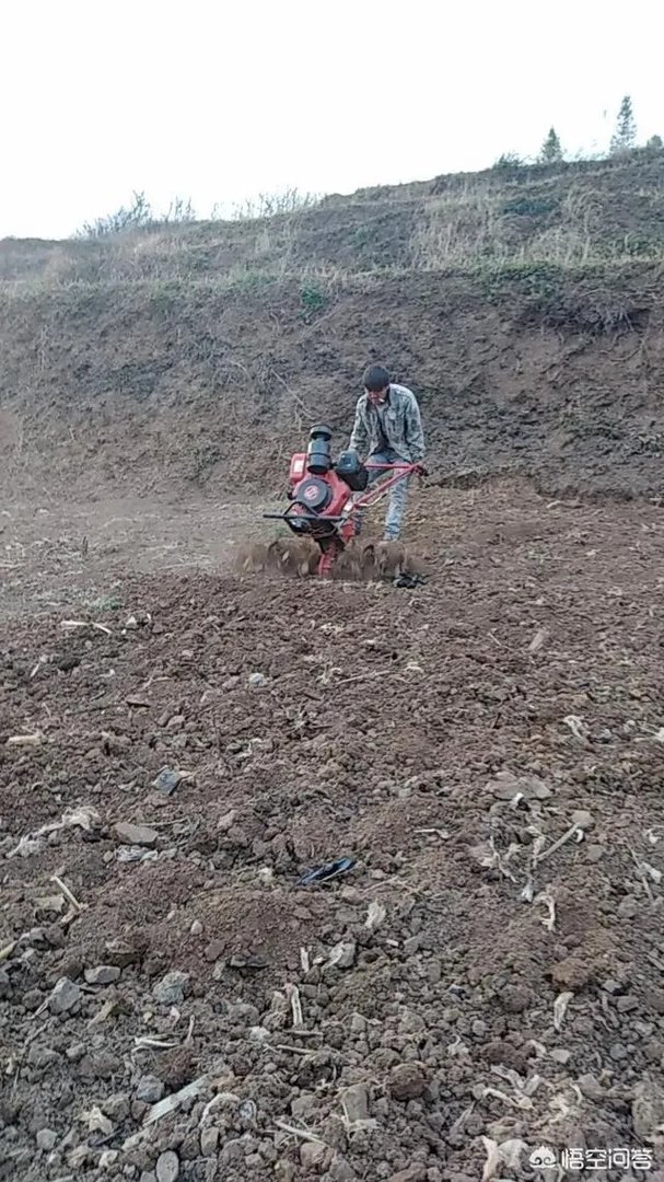 在别人的眼中云南人是什么样子？