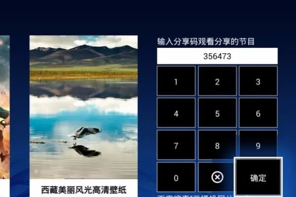 如何网络电视在线看cctv1