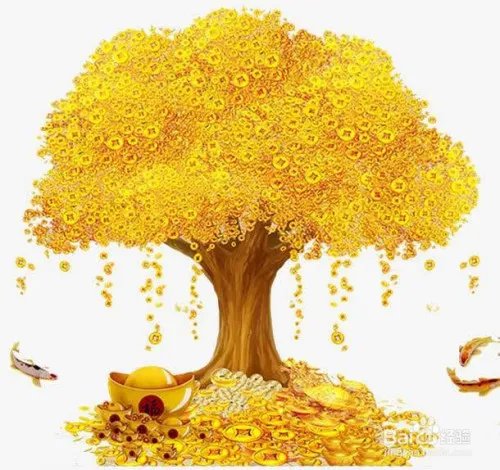 中国银行信用卡查询