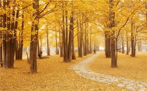 成都婚纱照工作室推荐 成都婚纱照外景地介绍