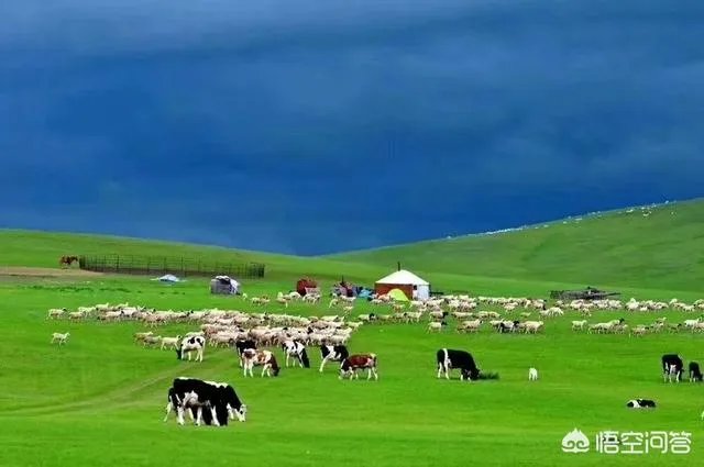 端午节想去草原旅游,这个时节草原好玩儿吗?