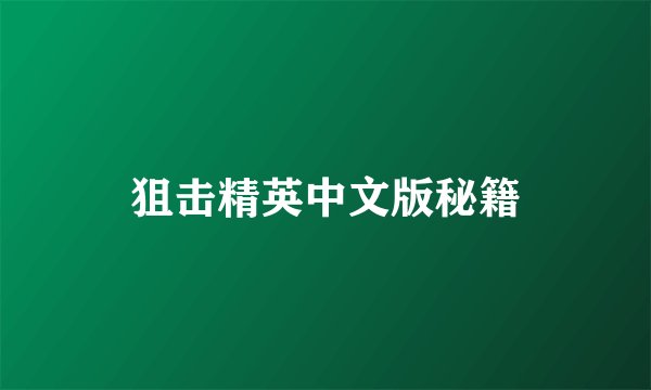 狙击精英中文版秘籍