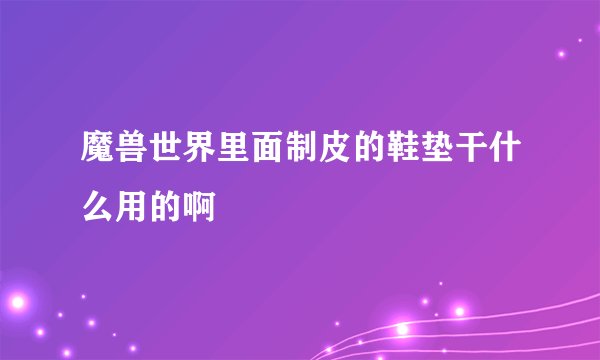 魔兽世界里面制皮的鞋垫干什么用的啊