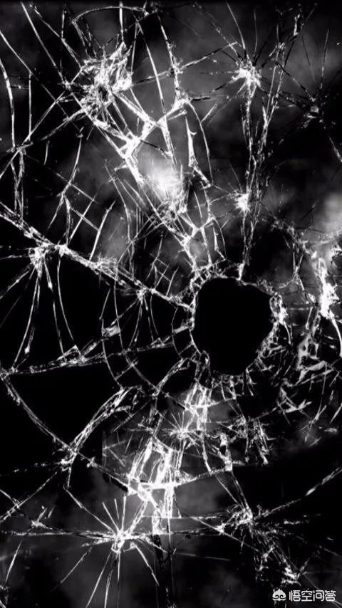 有哪些搞笑的手机壁纸？