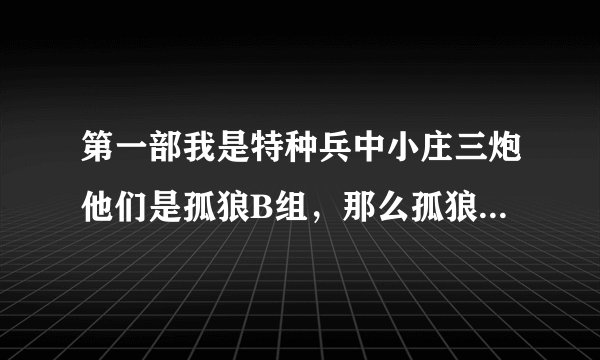 第一部我是特种兵中小庄三炮他们是孤狼B组，那么孤狼A组会不会比小庄他们还厉害啊？