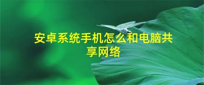 安卓系统手机怎么和电脑共享网络