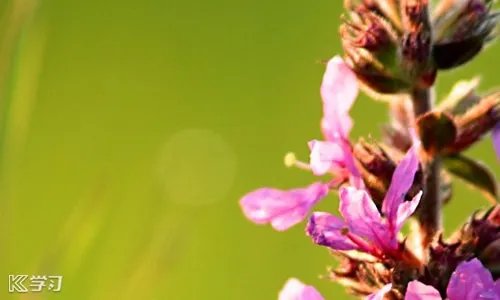 2020高三激励条幅句子_激励高三学生的句子精选100句