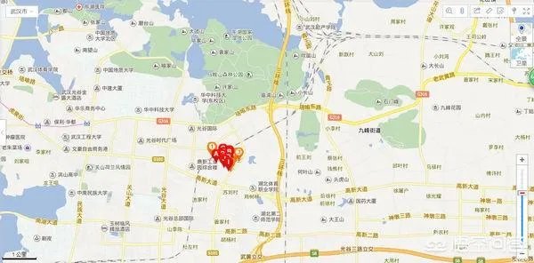 华中科技大学文华学院？