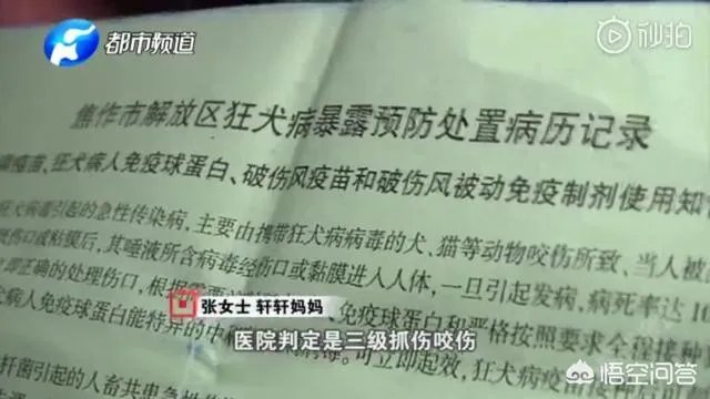 2岁娃等电梯时遭邻居3只狗迎面扑咬出血，事发8天后狗主人不露面不道歉，你怎么看？